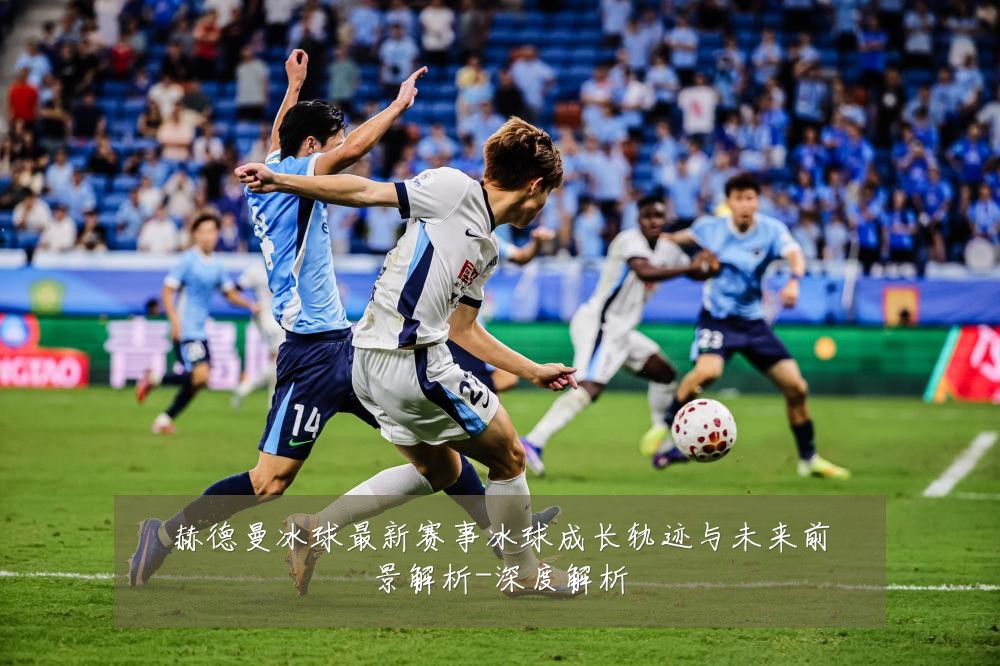 赫德曼冰球最新赛事冰球成长轨迹与未来前景解析-深度解析